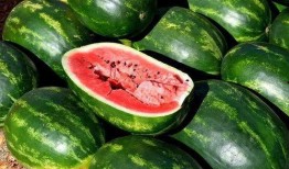 吃网红黑瓜视频大全下载,热门搞笑瞬间一网打尽